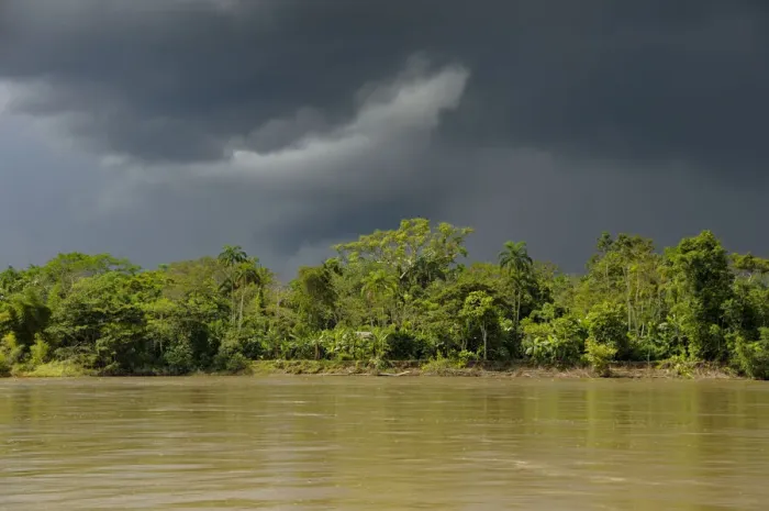 Framed Print : Amazon. South America, Amazon, Ecuador, Napo Wildlife Center; Yasuni National