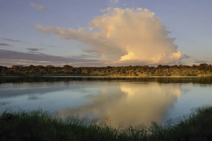 Framed Print : Napo. Anangurocha Lake, Lagoon, at Napo Wildlife Center, Rainforest, Amazonia, Ecuador