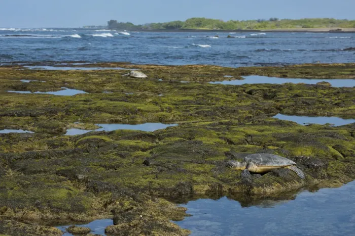 Framed Print : Big Island