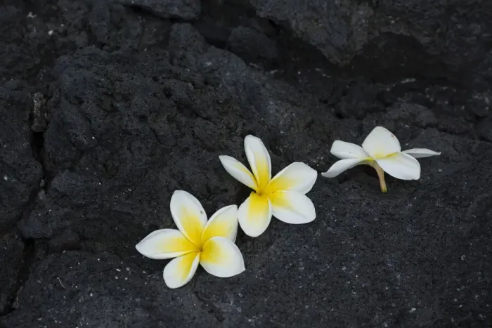Framed Print : Big Island