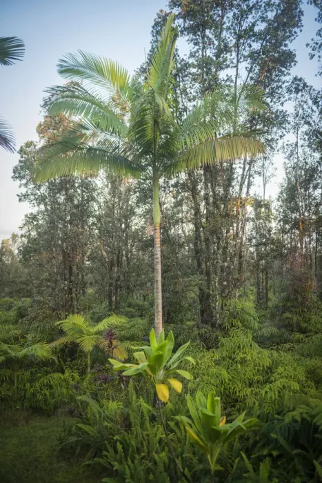 Framed Print : Big Island