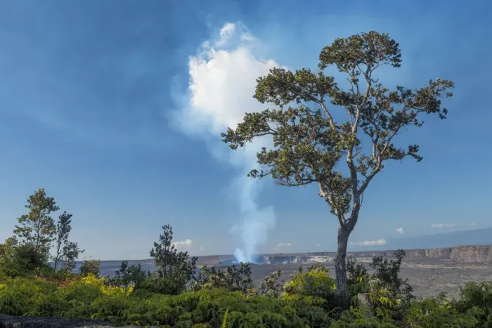 Framed Print : Big Island