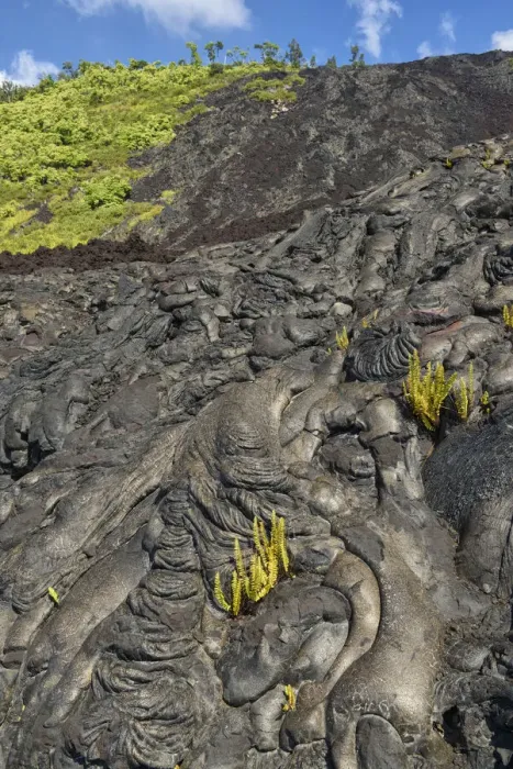 Framed Print : Big Island