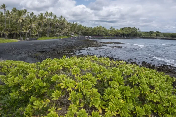 Framed Print : Big Island