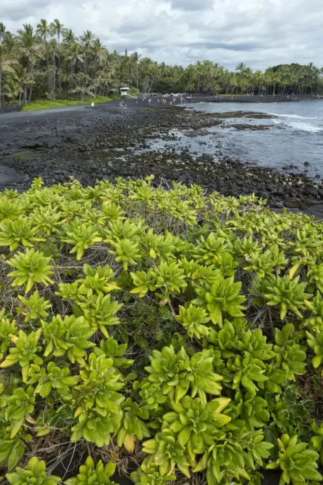 Framed Print : Big Island