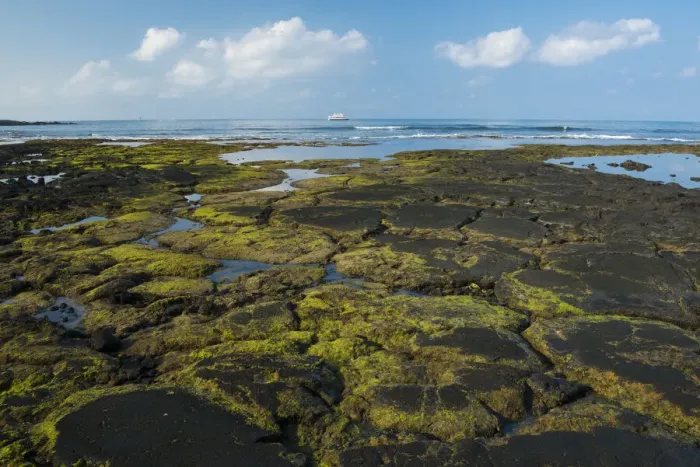 Framed Print : Big Island