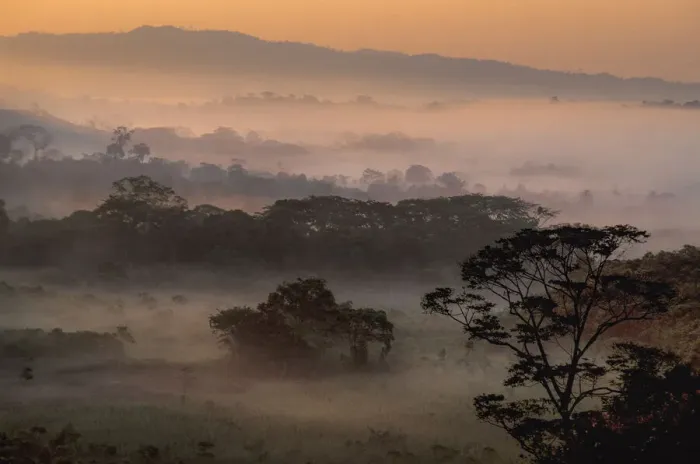 Framed Print : Campeche. North America, Mexico, Campeche, Palenque, morning fog