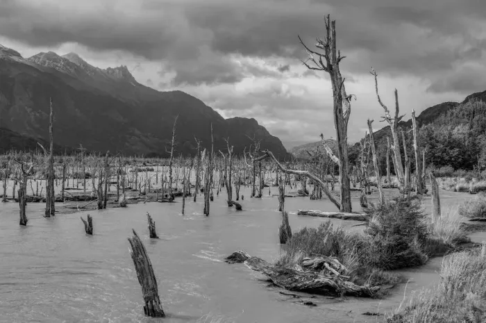 Framed Print : Carretra Austral