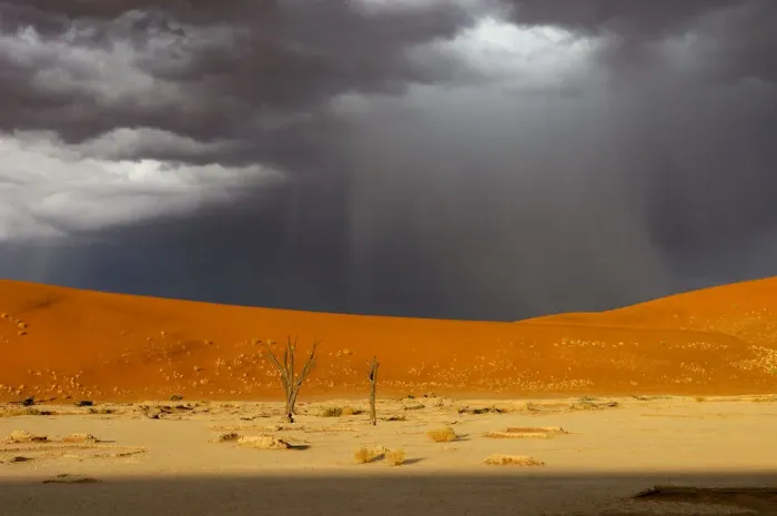 Framed Print : Dead Vlei. Storm over Dead Vlei, Sand Dunes, Sossusvlei area Framed Print : Dead Vlei. Storm over Dead Vlei, Sand Dunes, Sossusvlei area
