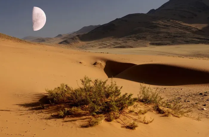 Framed Print : Desert. Sand Dunes, Serra Cafema Wilderness Safaris at Kunene River
