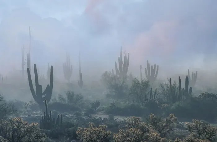 Framed Print : Desert Mist
