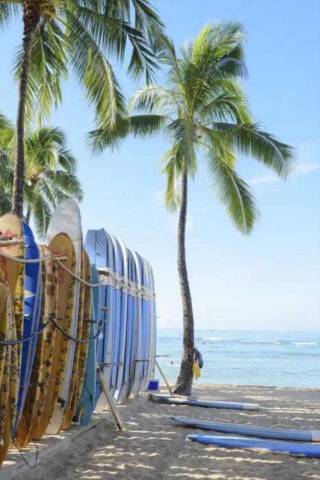 Framed Print : Hawaii. USA, Hawaii, Oahu, USA, Hawaii, Oahu, Honolulu, Waikiki, beach with surf boards 
