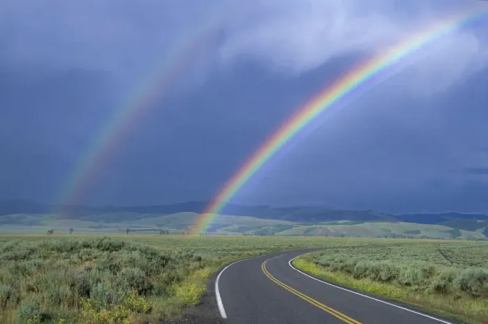 Framed Print : Kelly rainbow