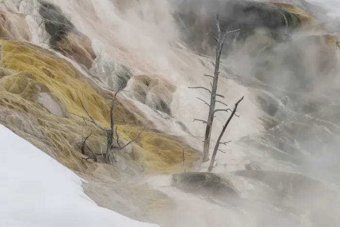Framed Print : Mammoth Hot Springs