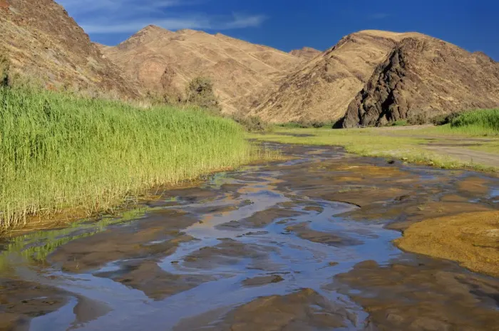 Framed Print : Namibia. Hoarusib River, near Okahirongo Elephant Lodge