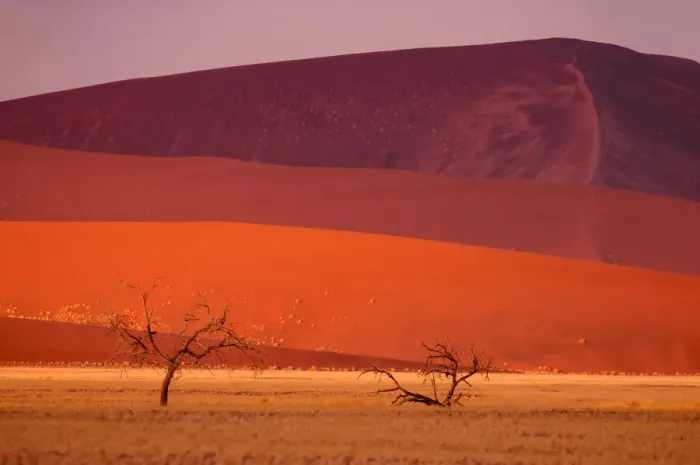 Framed Print : Namibia. Sand Dunes, Sossusvlei area, Namib Naukluft National Park, Hardap Region, Namibia