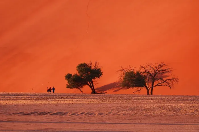 Framed Print : Namibia. People walking at Sand Dune 45, Sossusvlei area