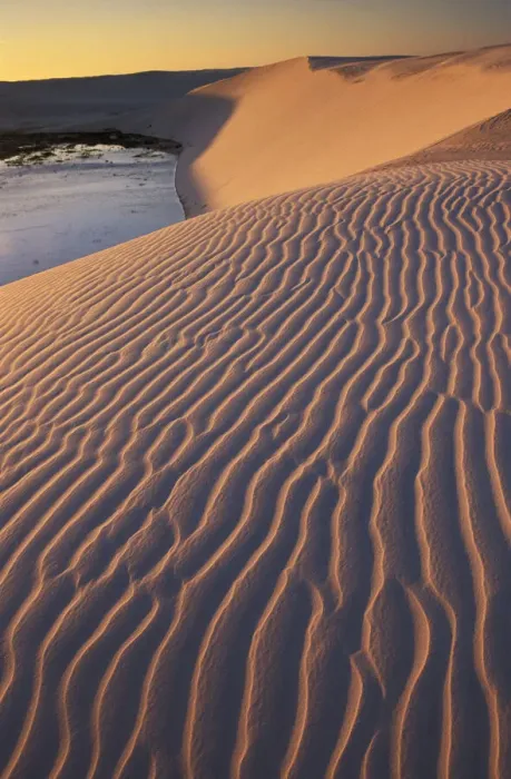 Framed Print : Dune. South America, Brazil, Maranhao, Barreirinhas