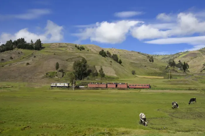 Framed Print : Train. South America; Ecuador; Andes; Highland; Riobamba; Devils Nose Train;