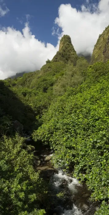 Framed Print : Maui. USA, Hawaii, Maui, Kahului, Iao Valley, Iao Needle State Park