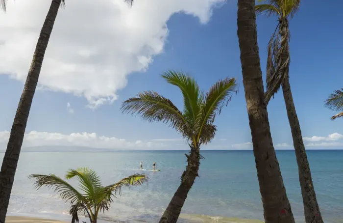 Framed Print : Maui. USA, Hawaii, Maui, Kihei, Paddle board