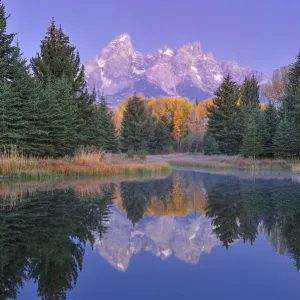 Autumn Autumn