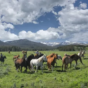 Cowboy Country Wyoming Cowboy Country Wyoming
