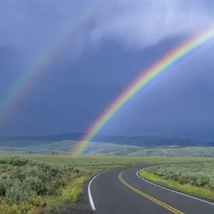 Kelly rainbow Kelly rainbow