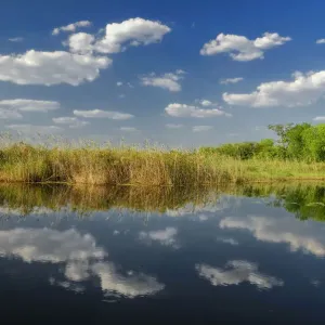 Kwando River