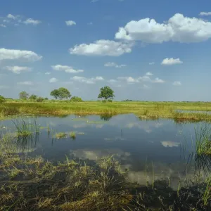 Kwando Wetland