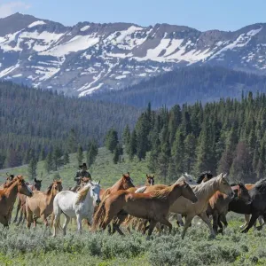 Ranch Ranch