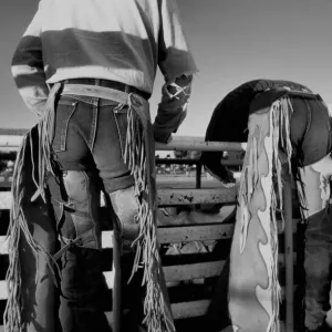 Rodeo Rodeo