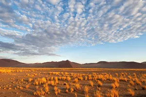 Africa