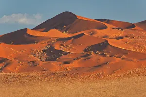 Africa