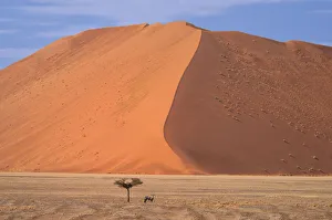 Africa