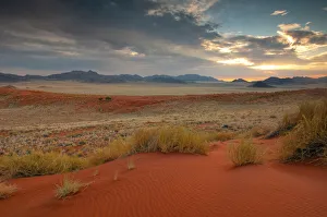 Africa