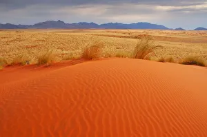 Africa
