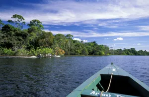 Latin America Prints: Amazon