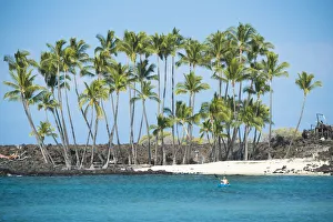 Big Island Prints: Big Island