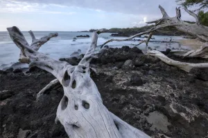 Landscape Prints: Big Island