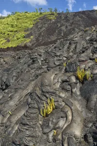 Big Island