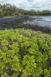 Beach Prints: Big Island