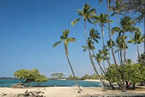 Landscape Prints: Big Island