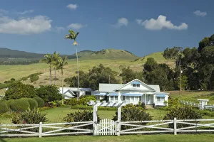 Landscape Prints: Big Island