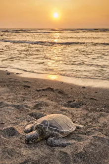 Big Island