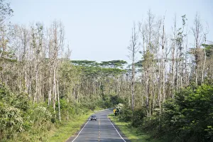 Landscape Prints: Big Island