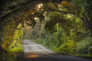 Road Prints: Big Island