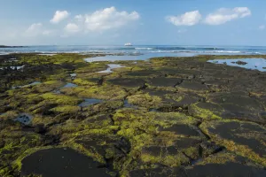 Scenic Prints: Big Island