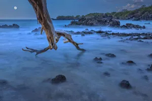 Hawaii Prints: Big Island
