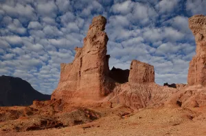 Desert Prints: Cafayate